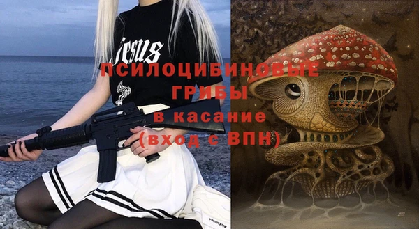 мдпв Вязьма